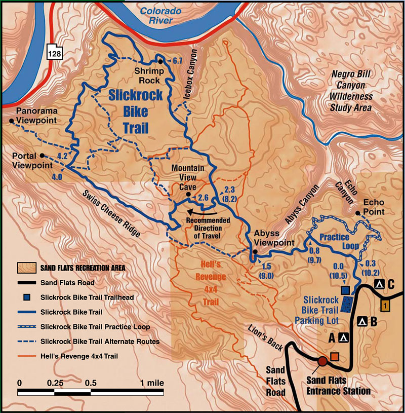 mtb tours moab