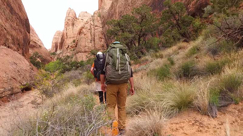 Hikers in Grandstaff Canyon