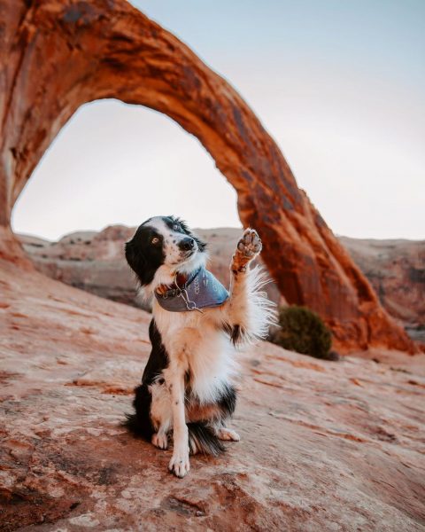 A dog in front of the Corona Arch in Moab, Utah