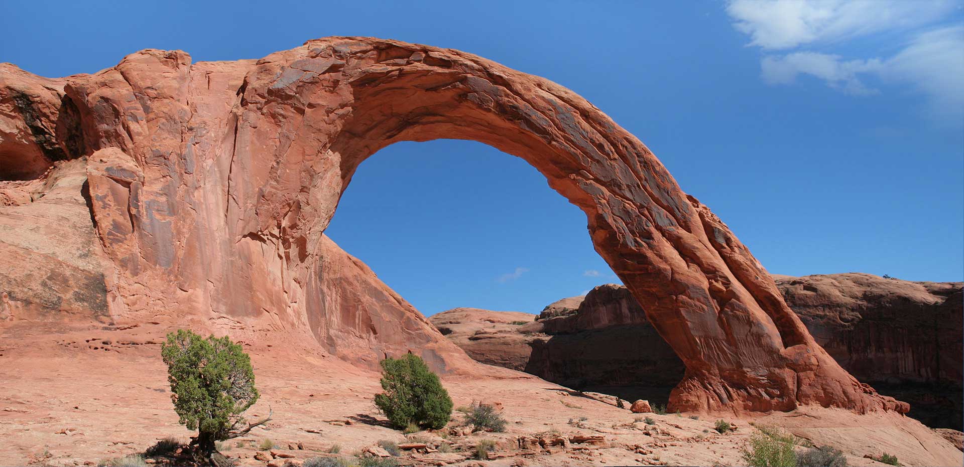 corona arch