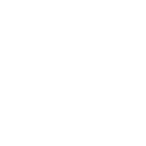 Scenic Flights