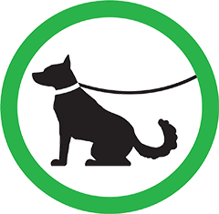 Dogs on Trails
