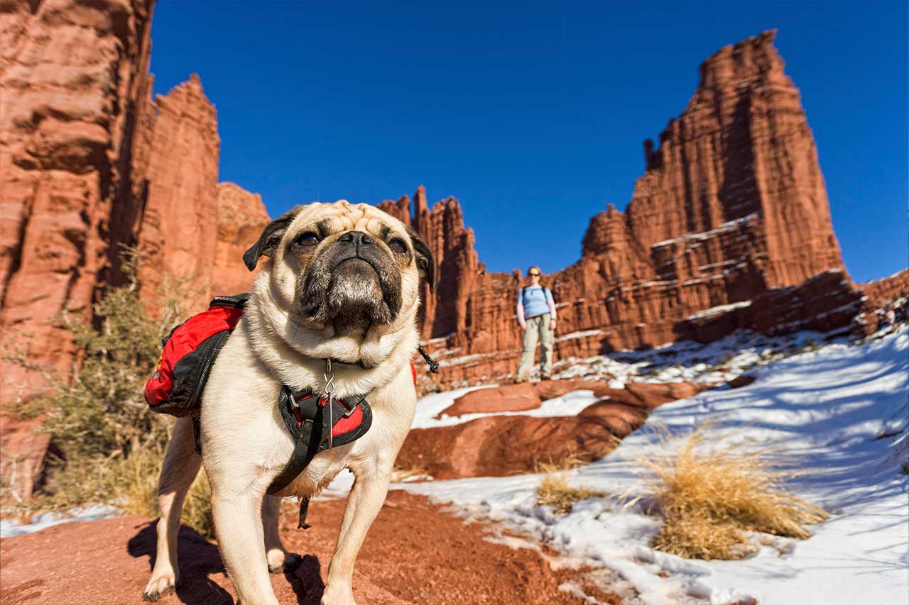 Winter in Moab